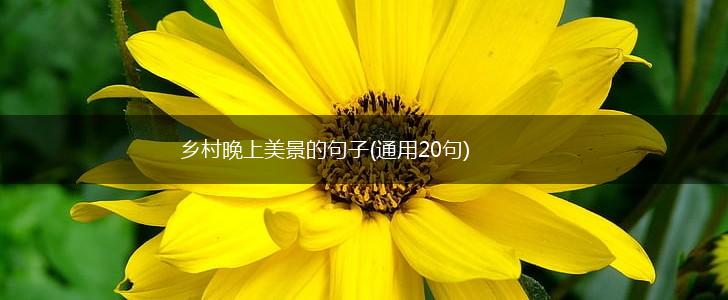 乡村晚上美景的句子(通用20句),第1张