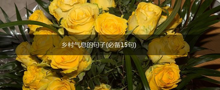 乡村气息的句子(必备15句),第1张