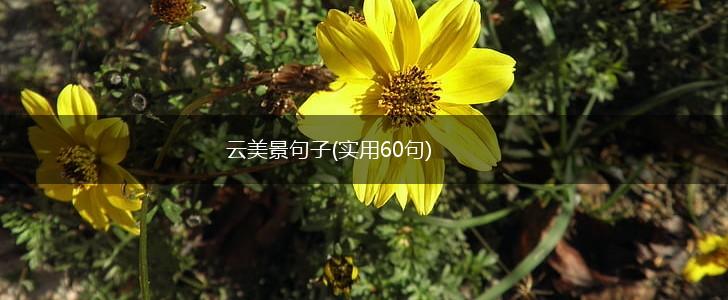 云美景句子(实用60句),第1张