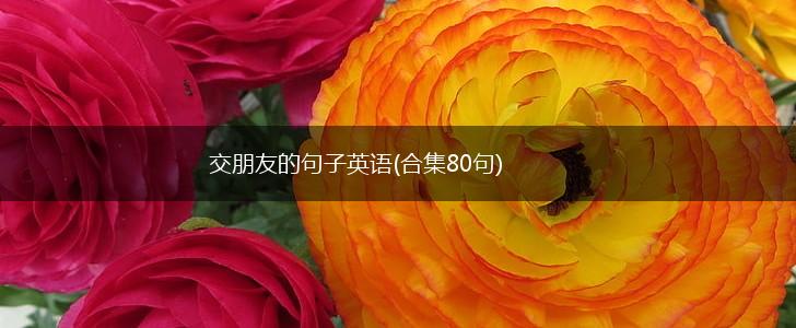 交朋友的句子英语(合集80句),第1张