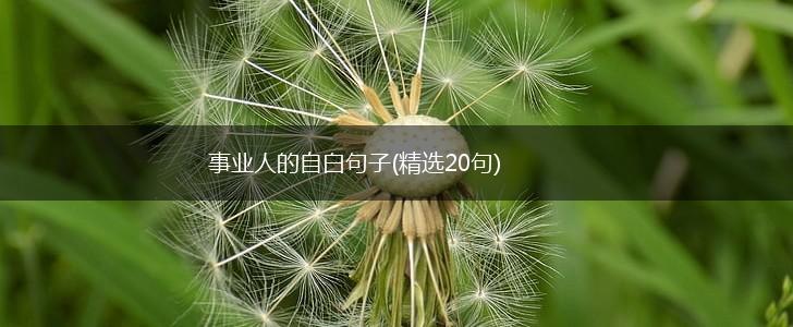 事业人的自白句子(精选20句),第1张