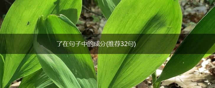 了在句子中的成分(推荐32句),第1张