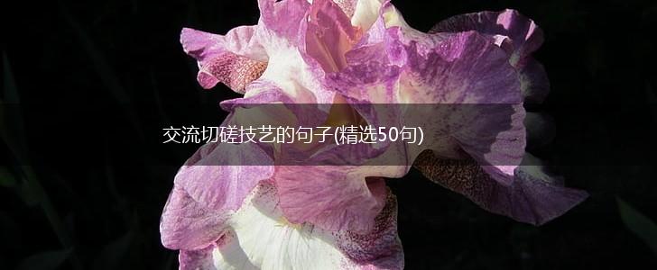 交流切磋技艺的句子(精选50句),第1张