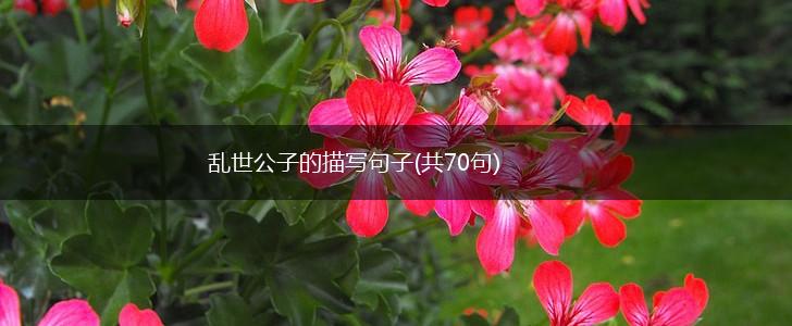 乱世公子的描写句子(共70句),第1张