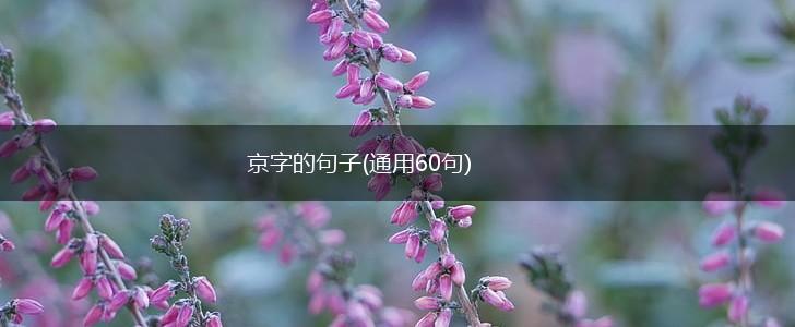 京字的句子(通用60句),第1张
