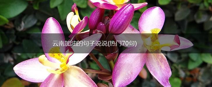 云南加油的句子说说(热门70句),第1张