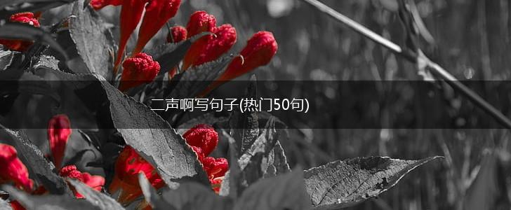 二声啊写句子(热门50句),第1张