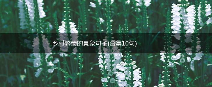 乡村繁荣的景象句子(合集10句),第1张