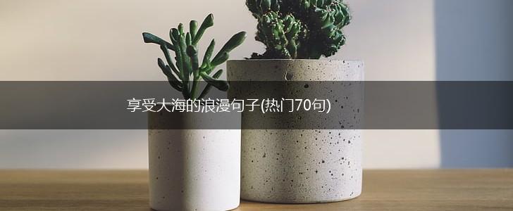 享受大海的浪漫句子(热门70句),第1张