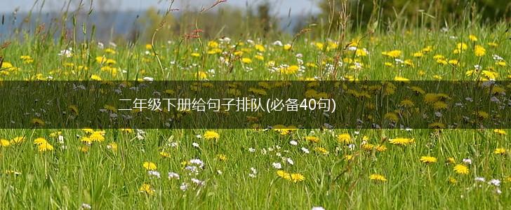 二年级下册给句子排队(必备40句),第1张