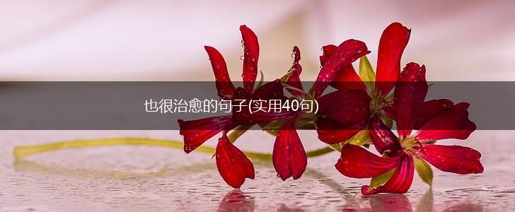 也很治愈的句子(实用40句),第1张
