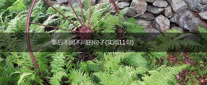 事后不闻不问的句子(实用11句),第1张