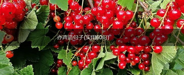 亦声造句子(实用60句),第1张