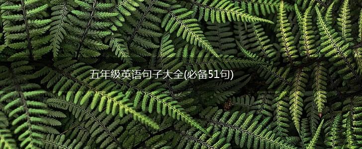 五年级英语句子大全(必备51句),第1张