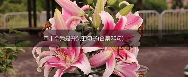 二十个我是开头的句子(合集20句),第1张