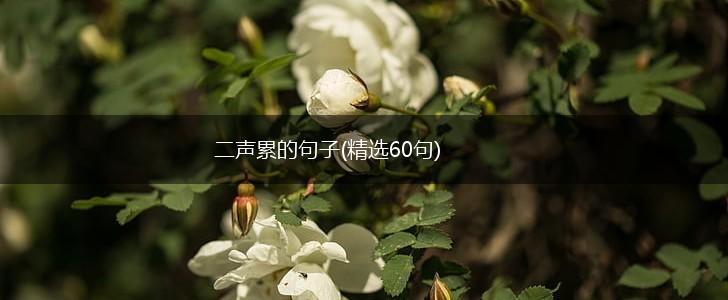二声累的句子(精选60句),第1张