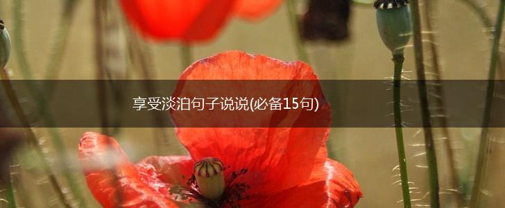 享受淡泊句子说说(必备15句),第1张