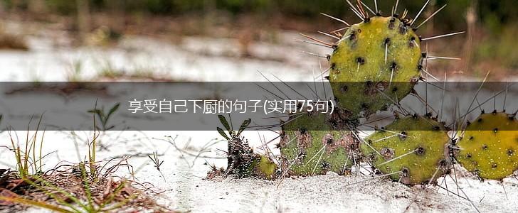 享受自己下厨的句子(实用75句),第1张