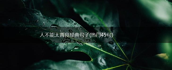 人不能太善良经典句子(热门45句),第1张