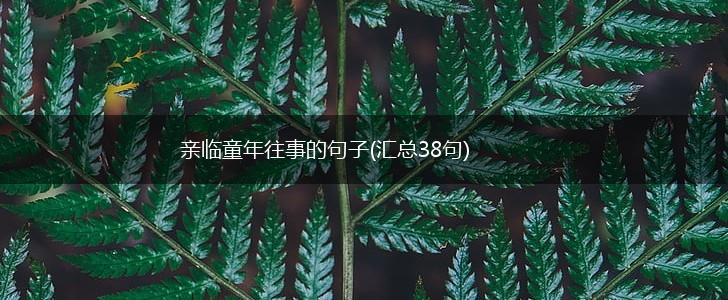 亲临童年往事的句子(汇总38句),第1张