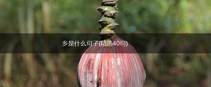 乡是什么句子(精选40句),第1张
