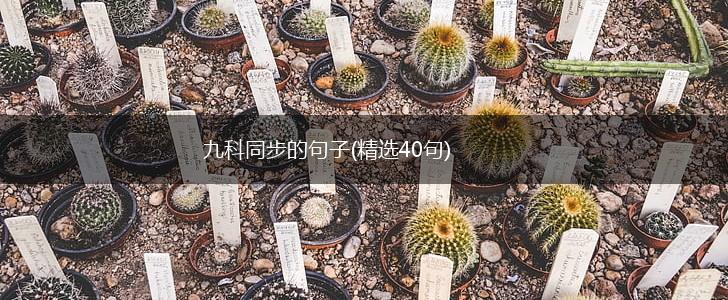 九科同步的句子(精选40句),第1张
