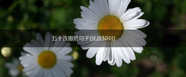 五十连撒娇句子(优选50句),第1张