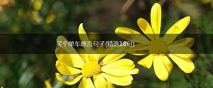 买个单车感言句子(精选18句),第1张