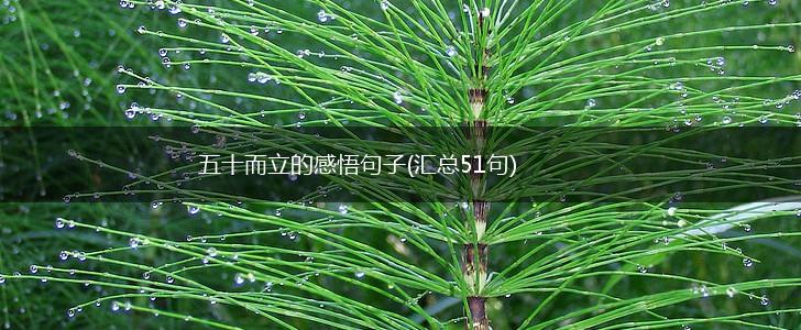 五十而立的感悟句子(汇总51句),第1张
