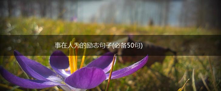 事在人为的励志句子(必备50句),第1张