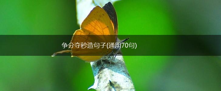 争分夺秒造句子(通用70句),第1张