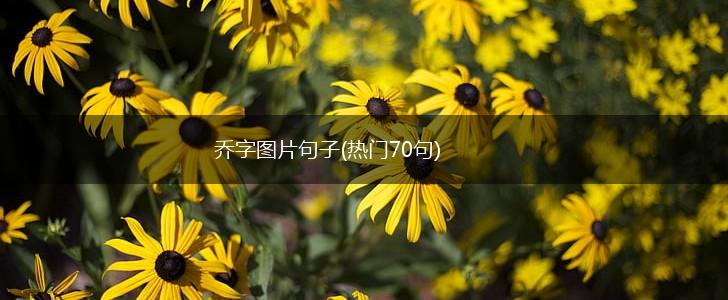 乔字图片句子(热门70句),第1张