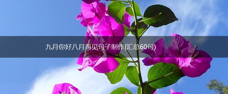 九月你好八月再见句子制作(汇总60句),第1张