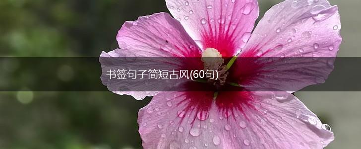 书签句子简短古风(60句),第1张