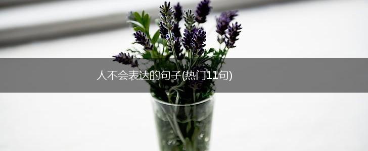 人不会表达的句子(热门11句),第1张
