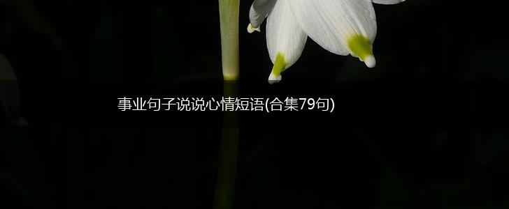 事业句子说说心情短语(合集79句),第1张