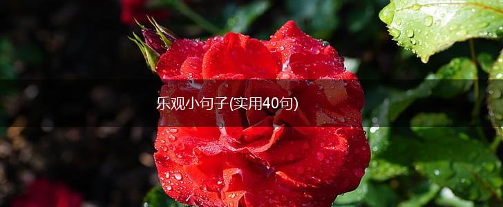乐观小句子(实用40句),第1张