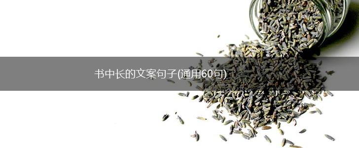 书中长的文案句子(通用60句),第1张