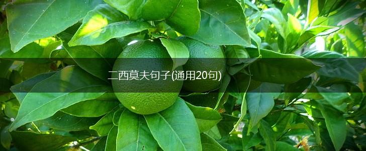 二西莫夫句子(通用20句),第1张