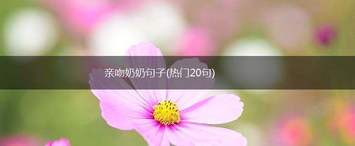 亲吻奶奶句子(热门20句),第1张
