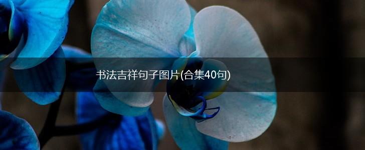 书法吉祥句子图片(合集40句),第1张