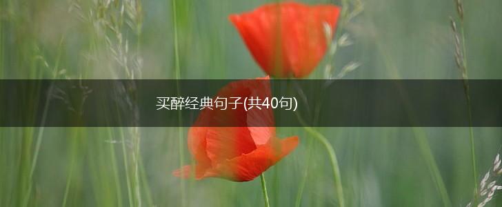 买醉经典句子(共40句),第1张