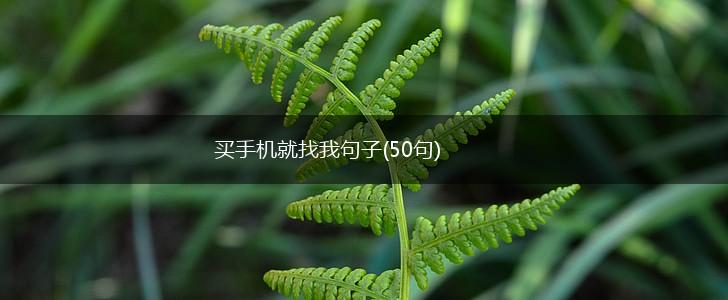 买手机就找我句子(50句),第1张