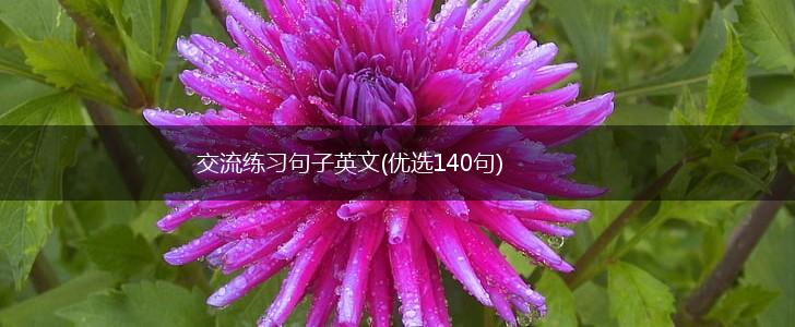 交流练习句子英文(优选140句),第1张