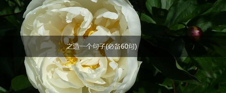 之造一个句子(必备60句),第1张