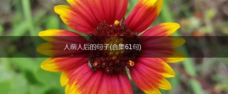 人前人后的句子(合集61句),第1张