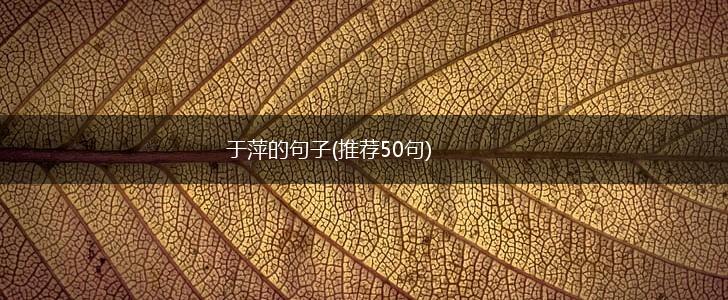 于萍的句子(推荐50句),第1张