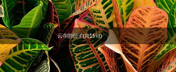 云寺的句子(共15句),第1张