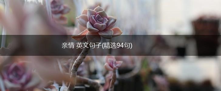 亲情 英文句子(精选94句),第1张