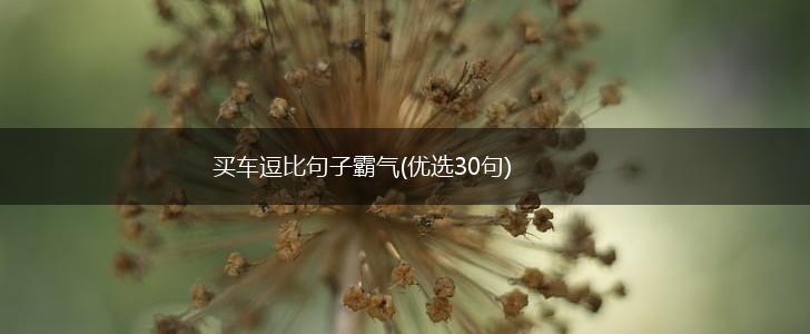 买车逗比句子霸气(优选30句),第1张